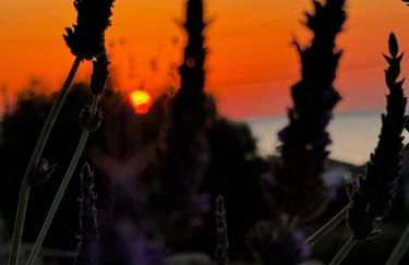 Viento Boutique - Photo 34