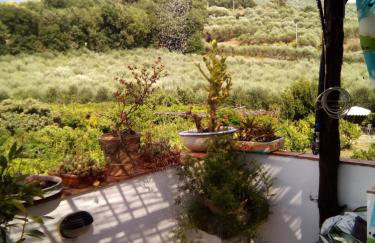 Masseria Sparano - Foto 34