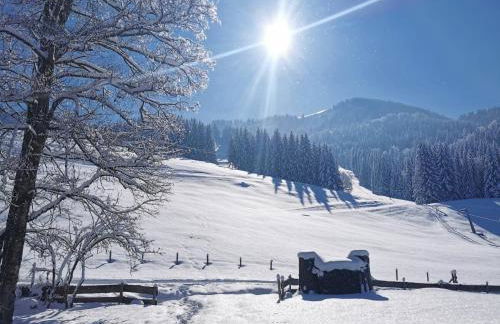 Konstanzer Bergblick mit Wintergarten - Foto 39