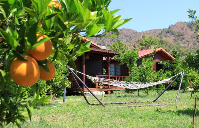 Ikiz Villas - Foto 60