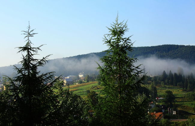 FAVAR Carpathians - Photo 78