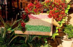 Corte Verde 5 - Foto 29