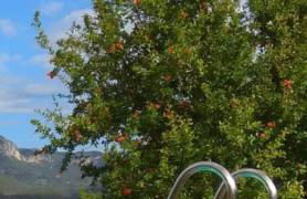 Villa Nice Mallorca - Foto 34