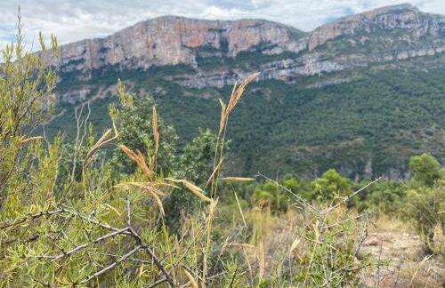 CAL PINTABOTES - Apartamento nuevo en Camarasa - Foto 27