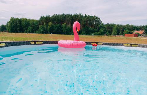 Nowy Domek na Mazurach - łowisko ryb - Foto 28