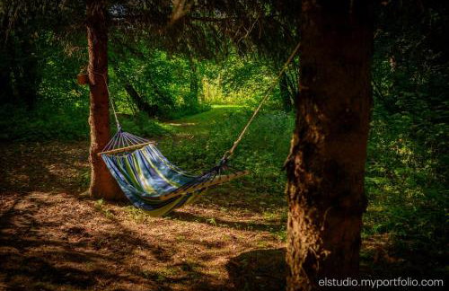 Orzechowy domek - Foto 46