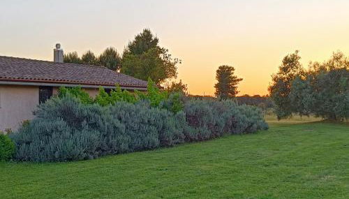 Agriturismo Fontelupo - Foto 4, Garden