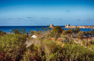 Blue Fort Villas - Photo 44