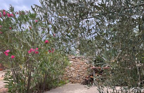 Apartman Ruža - Photo 55