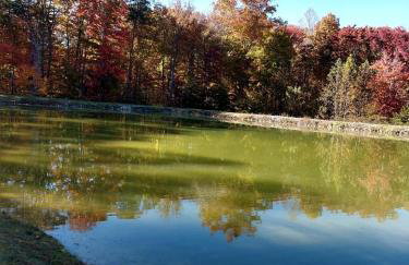 Peaceful Bunkhouse Surrounded by Nature near Graysville, Tennessee - Foto 8
