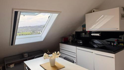 EMI4 Modern Apt Near Swiss Border Free Parking - Foto 5, stove, toaster