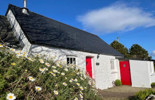 The Dairy @ Trefechan Wen - Photo 6