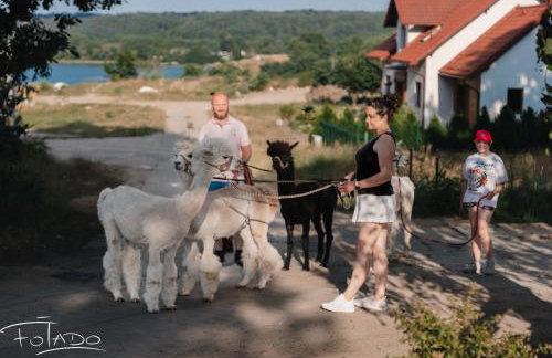 Agroturystyka Zagroda Alpaka - Foto 27