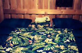 Ferienwohnung Eichkatzel - Foto 35