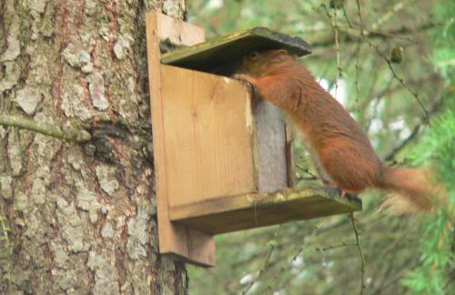 Burn Cottage - A Secluded Highland Retreat For Two - Foto 18