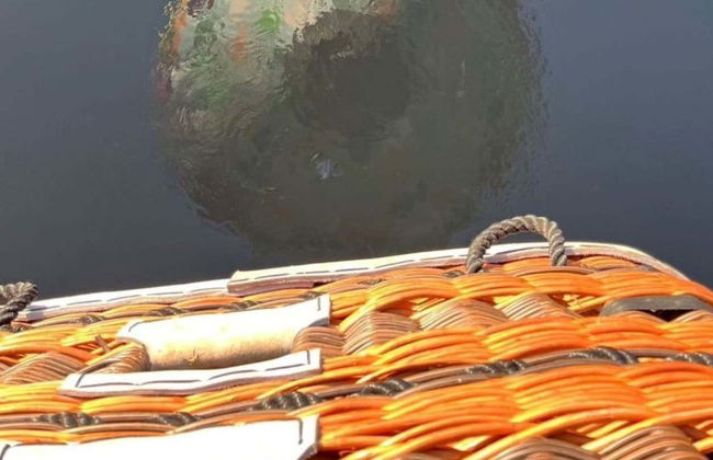 Campo Largo Hot Air Balloon Ride - Photo 7