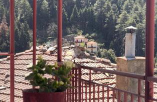 Forrest Guesthouse - Foto 43