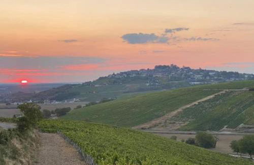 Villa au cœur des vignes de Chavignol - Foto 49