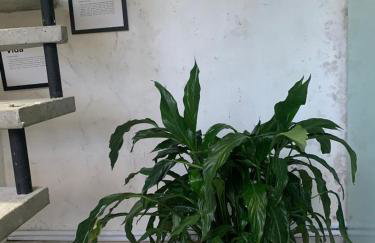 Sobrado Butanta, Usp, Morumbi, Pinheiros regiao central e Interlagos - Foto 57