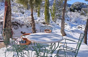 Villa Socorrito - Foto 9