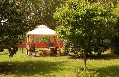 Apartamento con encanto l'Estany 2 - Foto 8