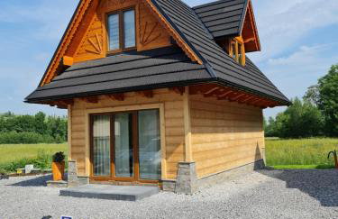 Żabie Dworki Witów Luxury Chalets & SPA - Foto 60