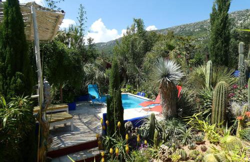 Villa Tropica, total privacy, tropical garden and private pool - Photo 39