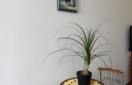 Sensacional Studio Cinelândia 1310 - Foto 18