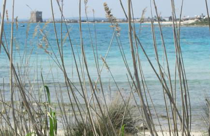 Porto Cesareo Sant'Isidoro Delizioso Trilo - Foto 24