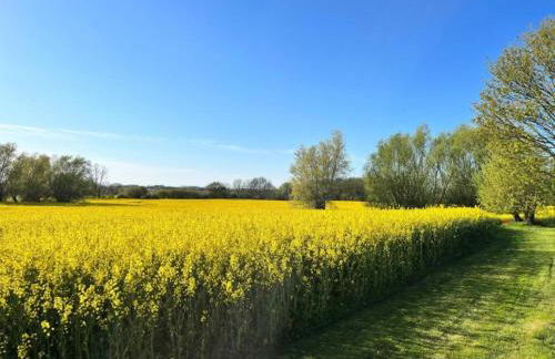 Ferienhaus in Elmenhorst an der Ostseekueste - Foto 44