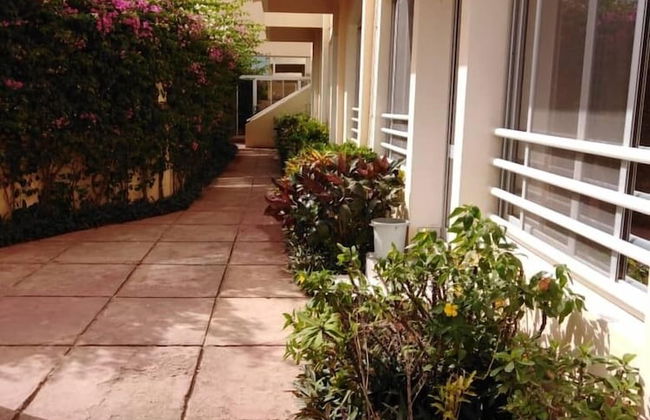 Studio Lamentin - Foto 1