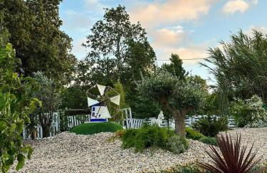 Alto do Moinho - Foto 39