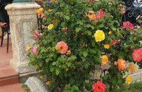 Masseria Case Damma - Photo 90