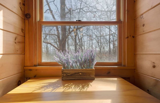 Spacious Luxury Lake Blue Ridge Forest Cabin an spa - Foto 27