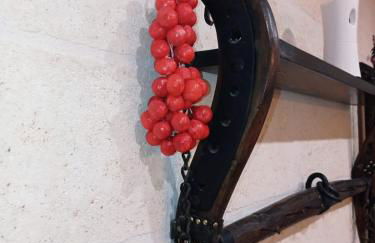 La ramasola & il datterino - Foto 44