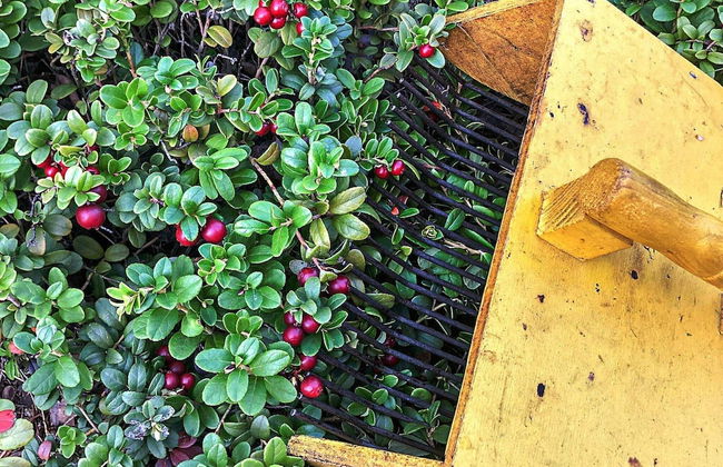 6 Person Holiday Home in Jokkmokk - Foto 17