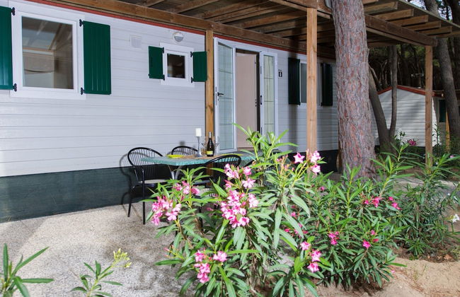 Beachy Comfort in Lido di Spina - Foto 29