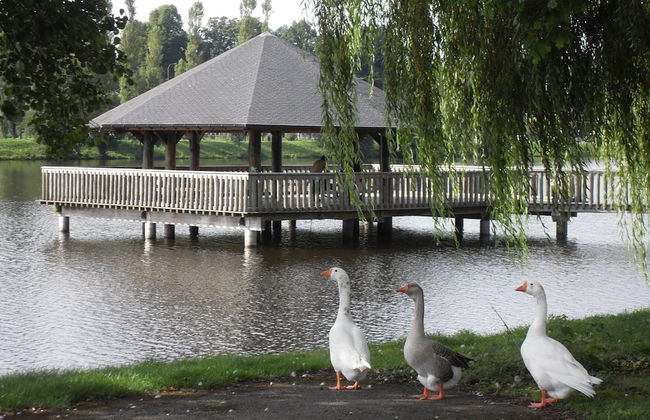 Lakeview Stay in Vielsalm - Foto 28