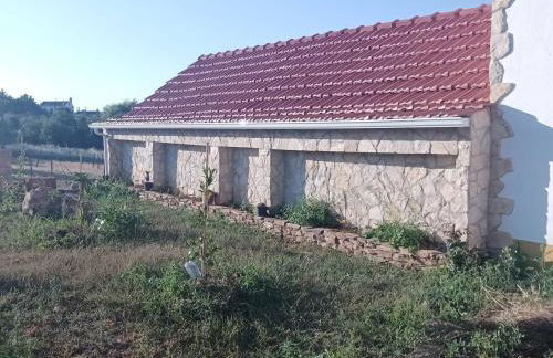 Casa dos pássaros - Foto 39