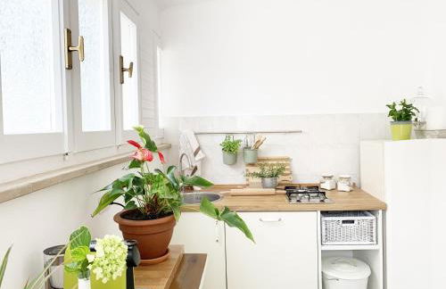 Tap Apartments - in Independent House with Private Garden - Photo 7