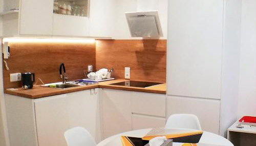 Luksusowy Apartament Nad Zalewem - Foto 4, stove