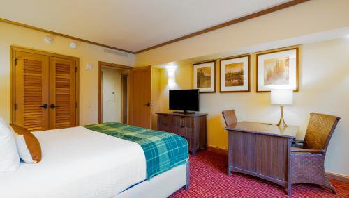 Huge 2 Connecting Rooms with Kitchen & Balcony - Foto 3