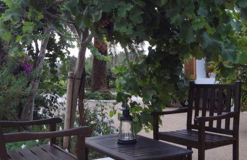 Agroturismo Sa Vinya d'en Palerm - Foto 108