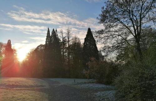Ferienwohnungen an der Hufeland-Therme - Foto 37