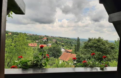 Country House Etno Kuca pod Okicem - Foto 60