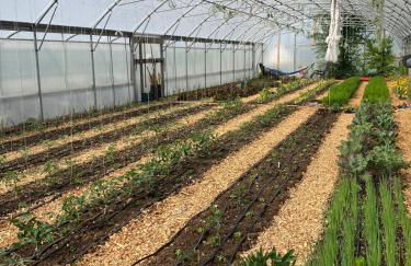 Tiny home on an organic croft, Isle of Arran - Photo 7