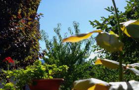 Appartment Lodged Mamma Maria - Foto 43