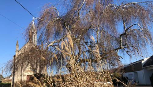 Logement f2 Bains les bains La Chapelle - Foto 3