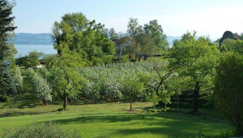 Haus Wörle - Photo 4