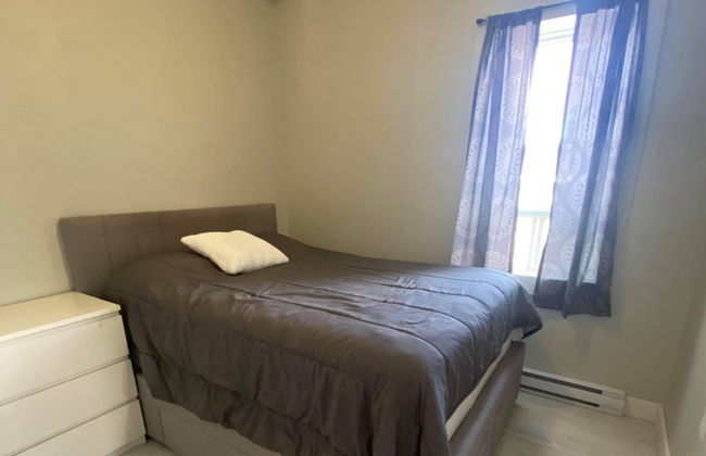 Le Convivial - Foto 5